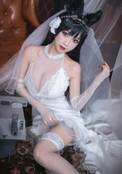 汪汪队动画片全集观看_720高清迅雷在线观看
